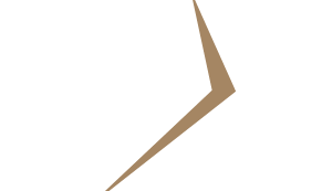 BLX Logistics, LLC logo